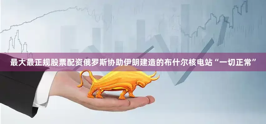 最大最正规股票配资俄罗斯协助伊朗建造的布什尔核电站“一切正常”