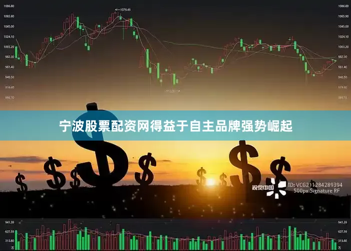 宁波股票配资网得益于自主品牌强势崛起
