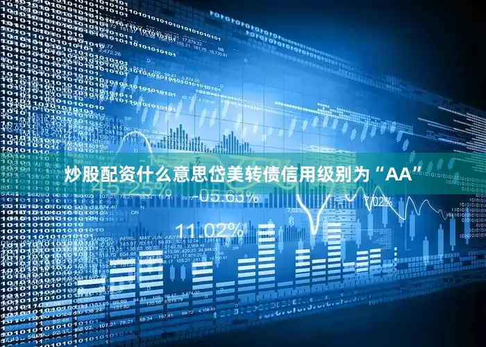 炒股配资什么意思岱美转债信用级别为“AA”